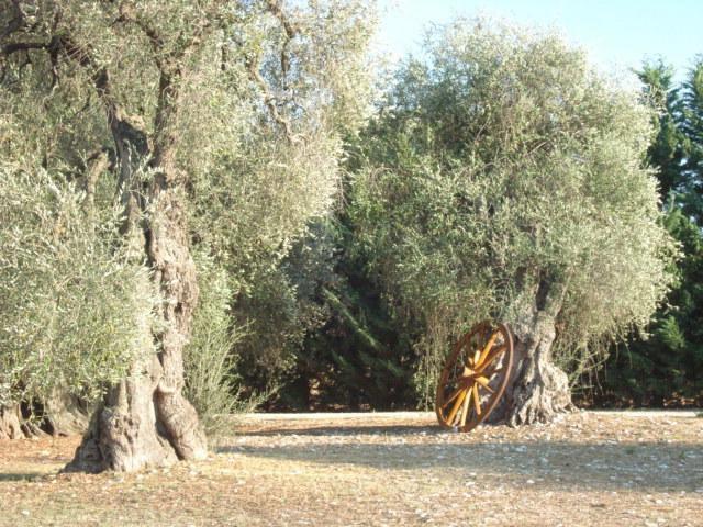 Вилла La Piana Di Calena Пескичи Номер фото
